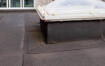 disadvantages of Ballynoe flat roofs