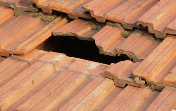 roof repair Ballynoe, Down