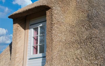 Ballynoe thatch roof disadvantages