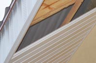 rated Ballynoe soffit repair companies